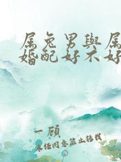 属兔男与属龙女婚配好不好