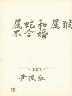 属蛇和属猴的合不合婚