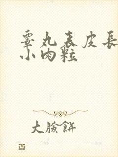 睾丸表皮长了个小肉粒