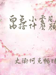 白色小香风外套内搭什么颜色好看