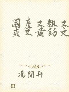 国产又粗又猛又爽又黄的文