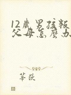 12岁男孩叛逆父母怎么办