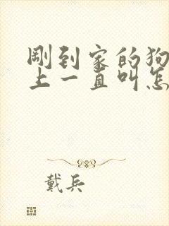 刚到家的狗狗晚上一直叫怎么办