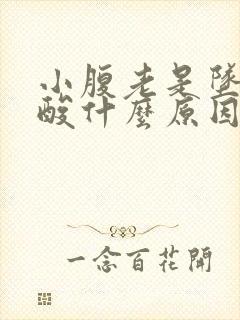 小腹老是坠疼腰酸什么原因