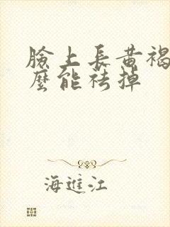 脸上长黄褐斑怎么能祛掉