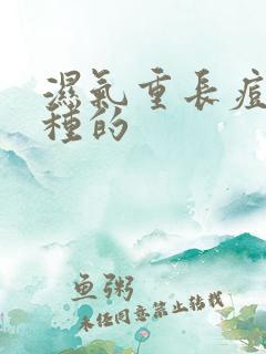 湿气重长痘是哪种的