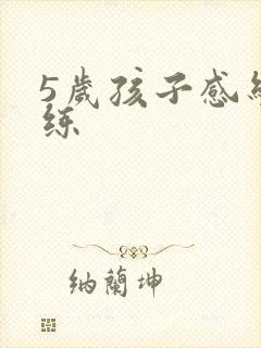 5岁孩子感统训练