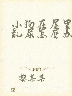 小狗在屋里乱拉乱尿怎么办