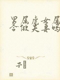 男属虎女属蛇适合做夫妻吗