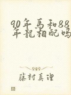90年马和88年龙相配吗