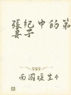 张纪中的第一任妻子