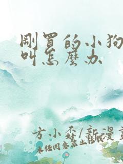 刚买的小狗总是叫怎么办