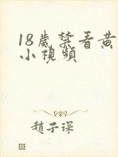 18岁禁看黄色小视频