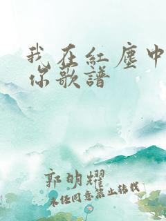 我在红尘中遇见你歌谱