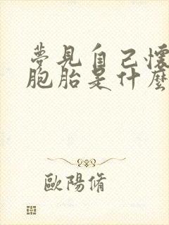 梦见自己怀了双胞胎是什么意思