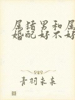 属猪男和属蛇女婚配好不好