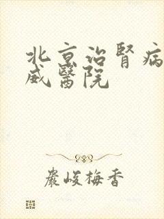 北京治肾病的权威医院