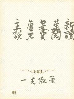 主角是叶新的小说免费阅读
