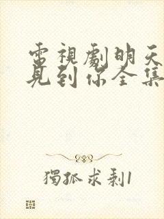 电视剧明天也想见到你全集在线观看