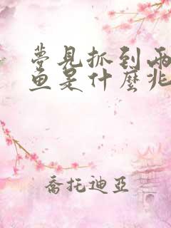 梦见抓到两条大鱼是什么兆头