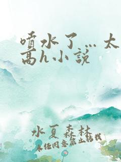 喷水了…太爽了高h小说