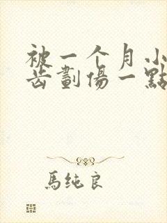 被一个月小狗牙齿划伤一点皮出血有事吗