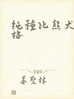 纯种比熊犬的价格