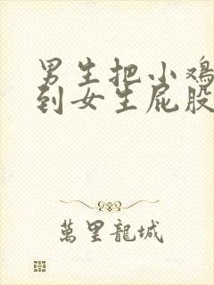 男生把小鸡鸡放到女生屁股里