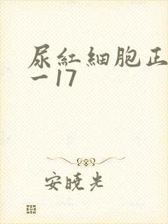 尿红细胞正常0一17