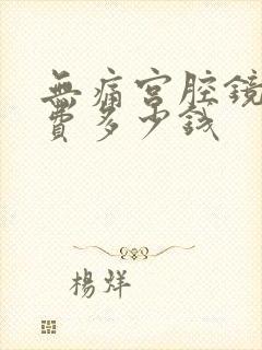 无痛宫腔镜检查费多少钱