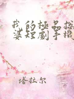 我的极品总裁老婆短剧手机在线观看