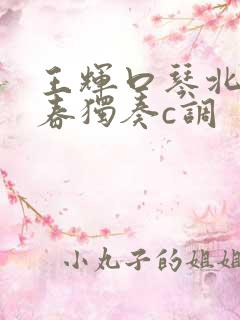 王辉口琴北国之春独奏c调