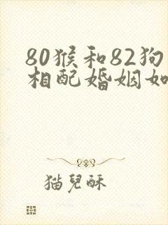 80猴和82狗相配婚姻如何