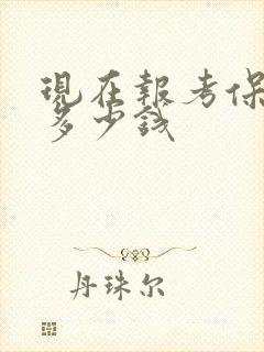 现在报考保育证多少钱