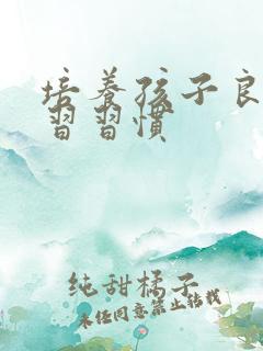 培养孩子良的学习习惯