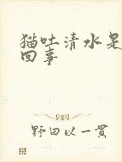 猫吐清水是怎么回事