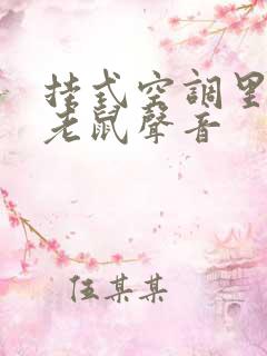 挂式空调里发出老鼠声音