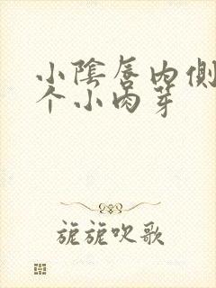 小阴唇内侧长了个小肉芽