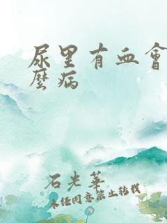 尿里有血会是什么病