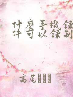 什么手机录屏软件可以录制内部声音