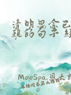 清明思念已故父亲的句子 经典