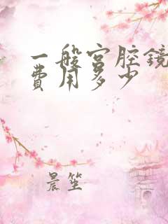 一般宫腔镜检查费用多少