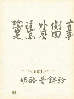 阴道外侧有硬块是怎么回事