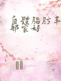 自体脂肪丰胸去那家好