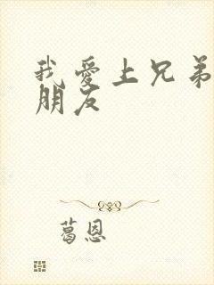 我爱上兄弟的女朋友