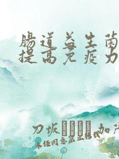 肠道益生菌可以提高免疫力吗