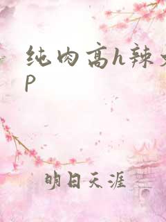 纯肉高h辣文np