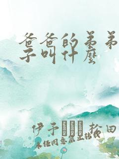 爸爸的弟弟的妻子叫什么