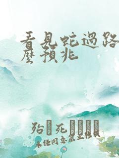 看见蛇过路有什么预兆