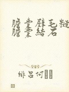 胆囊壁毛糙增厚胆囊结石